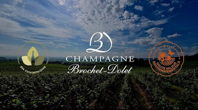 Champagne Brochet-Dolet à Écueil