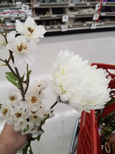 Craft Store «Michaels», reviews and photos, 232 N West End Blvd, Quakertown, PA 18951, USA