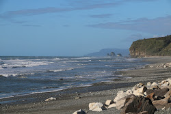Rapahoe Bay Beach'in fotoğrafı ve yerleşim