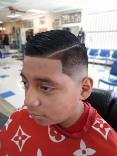 Beauty Salon «Hollywood Beauty Salon», reviews and photos, 7807 Lake June Rd, Dallas, TX 75217, USA