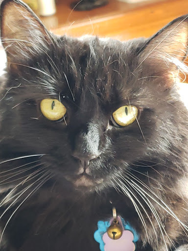 Pet Supply Store «Pet Supplies Plus», reviews and photos, 1268 N Eisenhower Dr, Beckley, WV 25801, USA