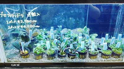 FeedOn ロイヤルホームセンター小山店