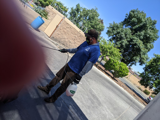 Car Detailing Service «5 Star Car Wash & Detail Center», reviews and photos, 520 Orange Dr, Vacaville, CA 95687, USA