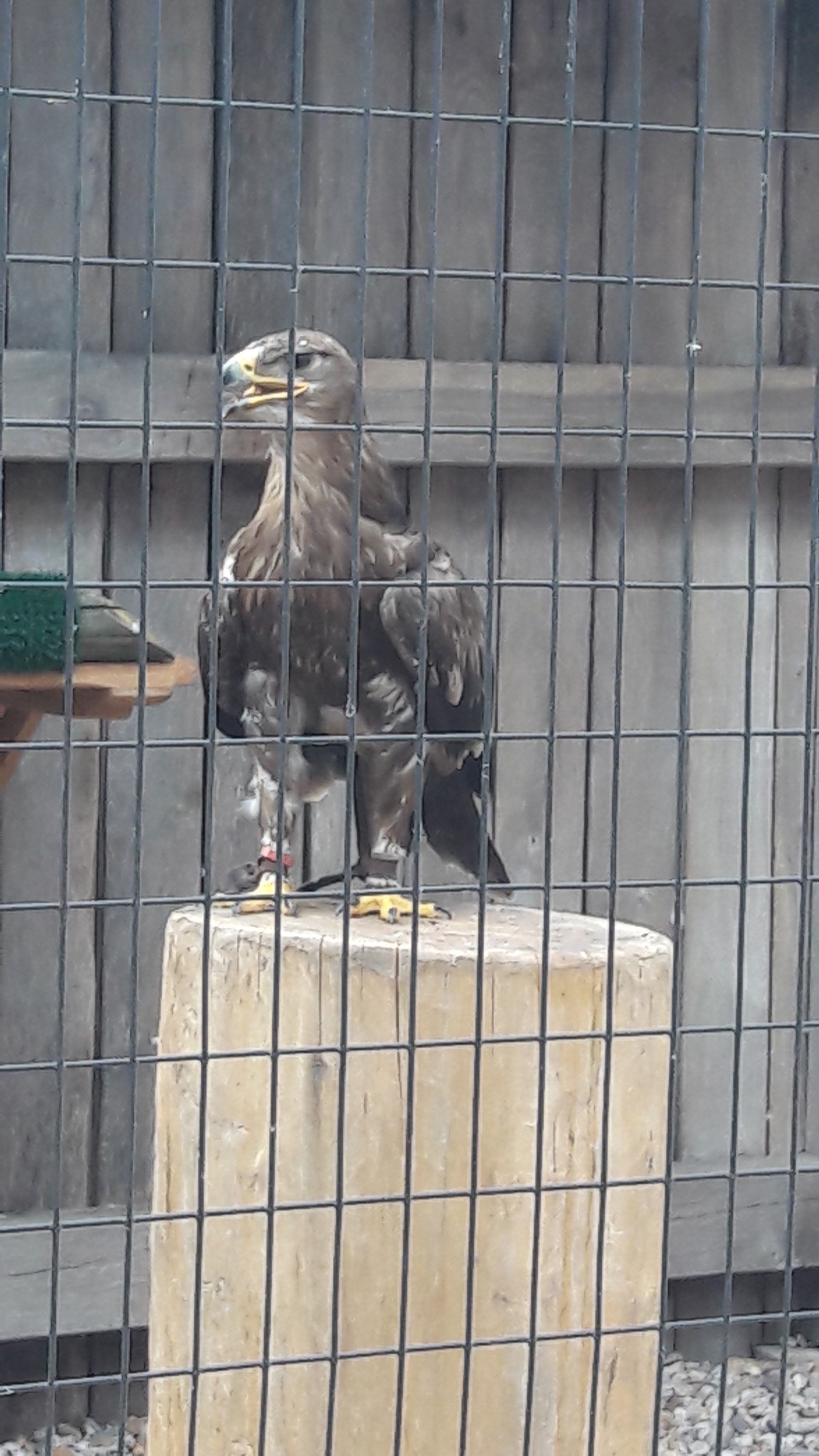 Photo n° 14 de l'avis de Lise.e fait le 14/07/2018 à 16:26