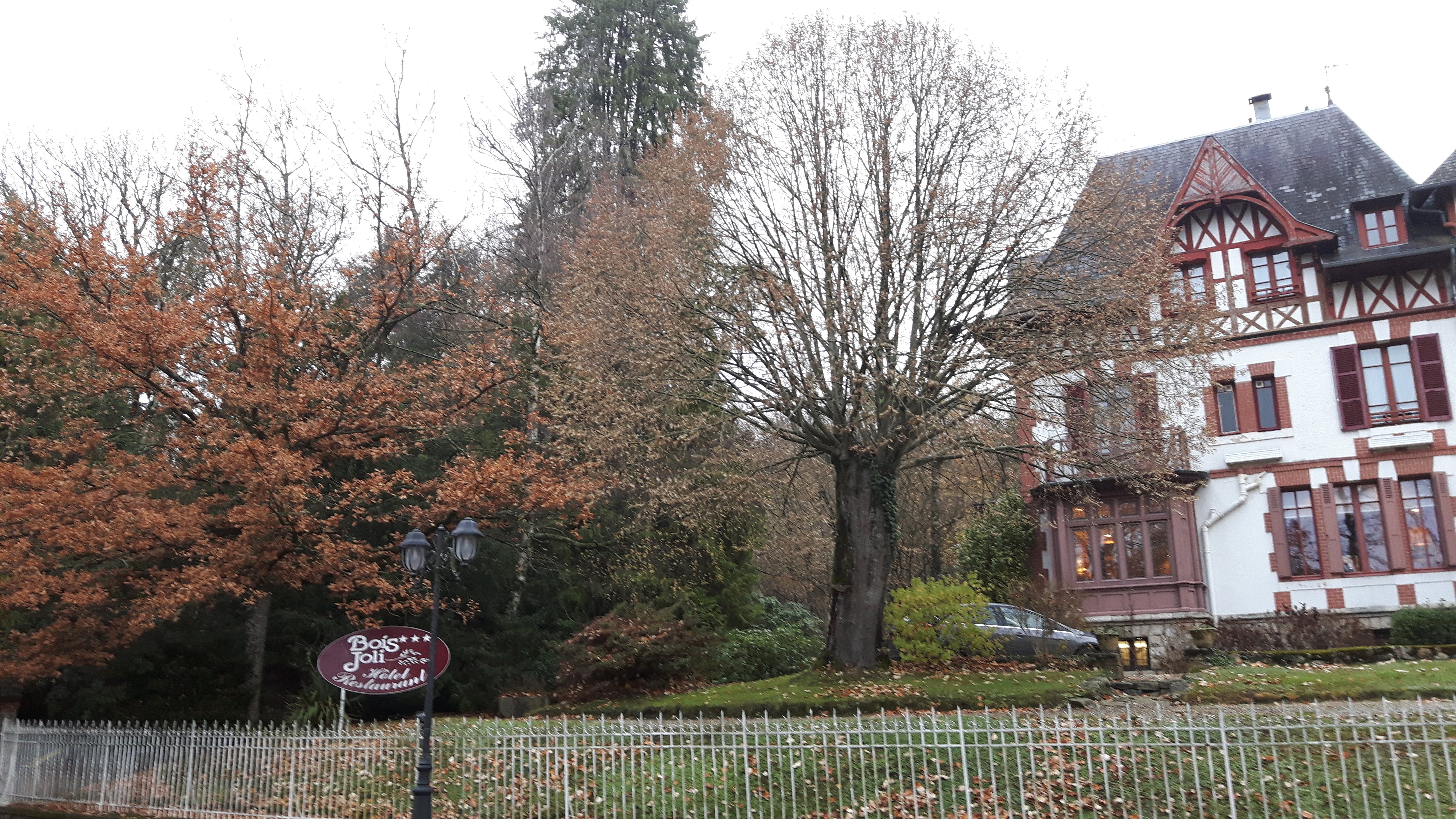 Photo n° 14 de l'avis de Delphes.a fait le 25/11/2018 à 16:22