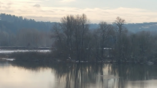 Tattoo Shop «Hot Rod Betties Tattoo», reviews and photos, 940 Edgewater St NW, Salem, OR 97304, USA