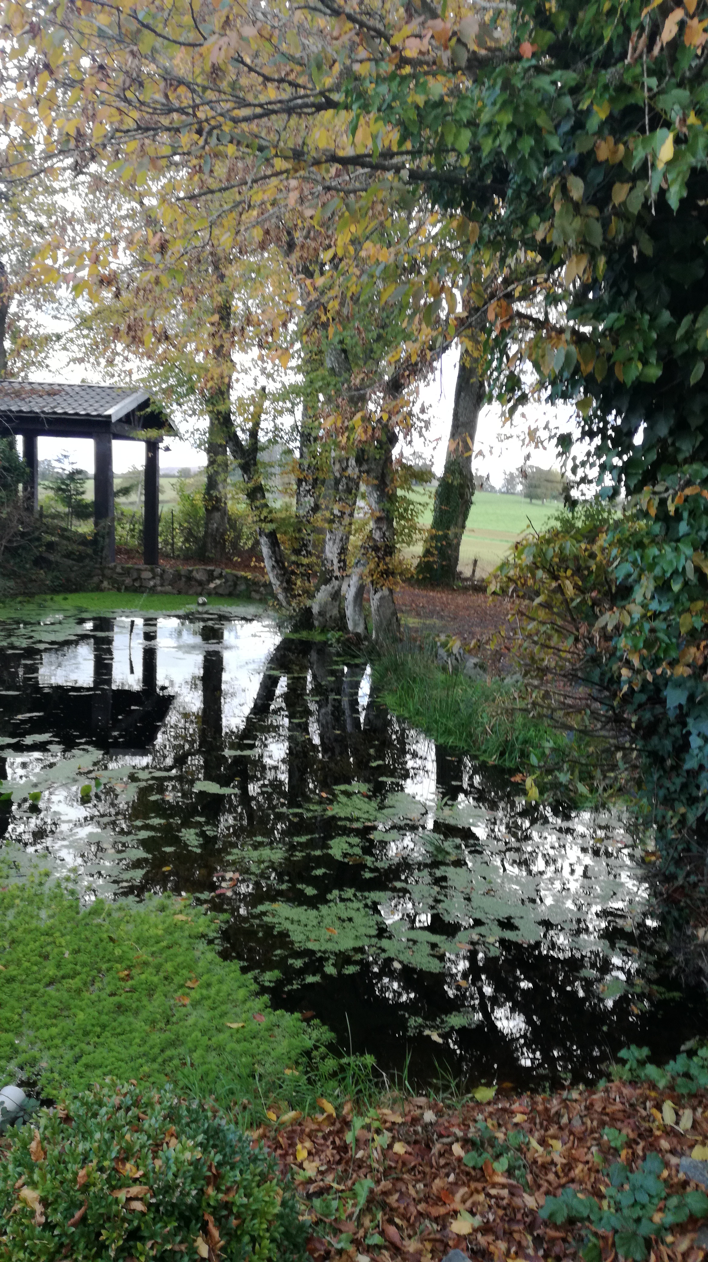Photo n° 1 de l'avis de compte.o fait le 09/01/2022 à 20:06