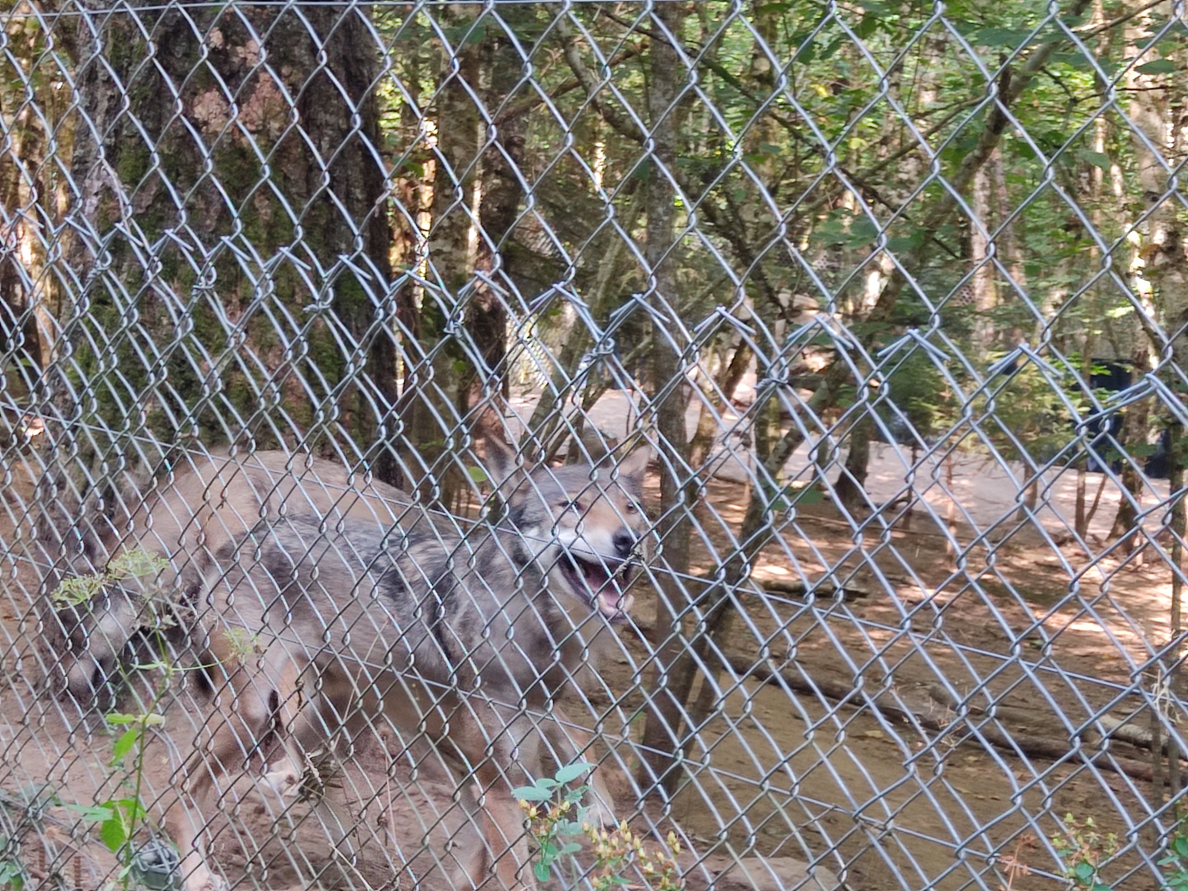 Photo n° 3 de l'avis de Delphine.e fait le 17/08/2022 à 19:26
