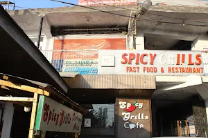 Spicy Grills Cafe image