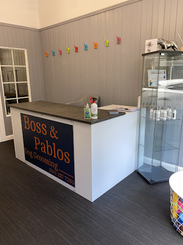 Reviews of Boss & Pablos Dog Grooming in Glasgow - Dog trainer
