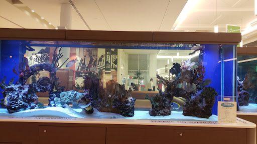 Outlet Mall «The Outlets at Bergen Town Center», reviews and photos, 1 Bergen Town Center, Paramus, NJ 07652, USA