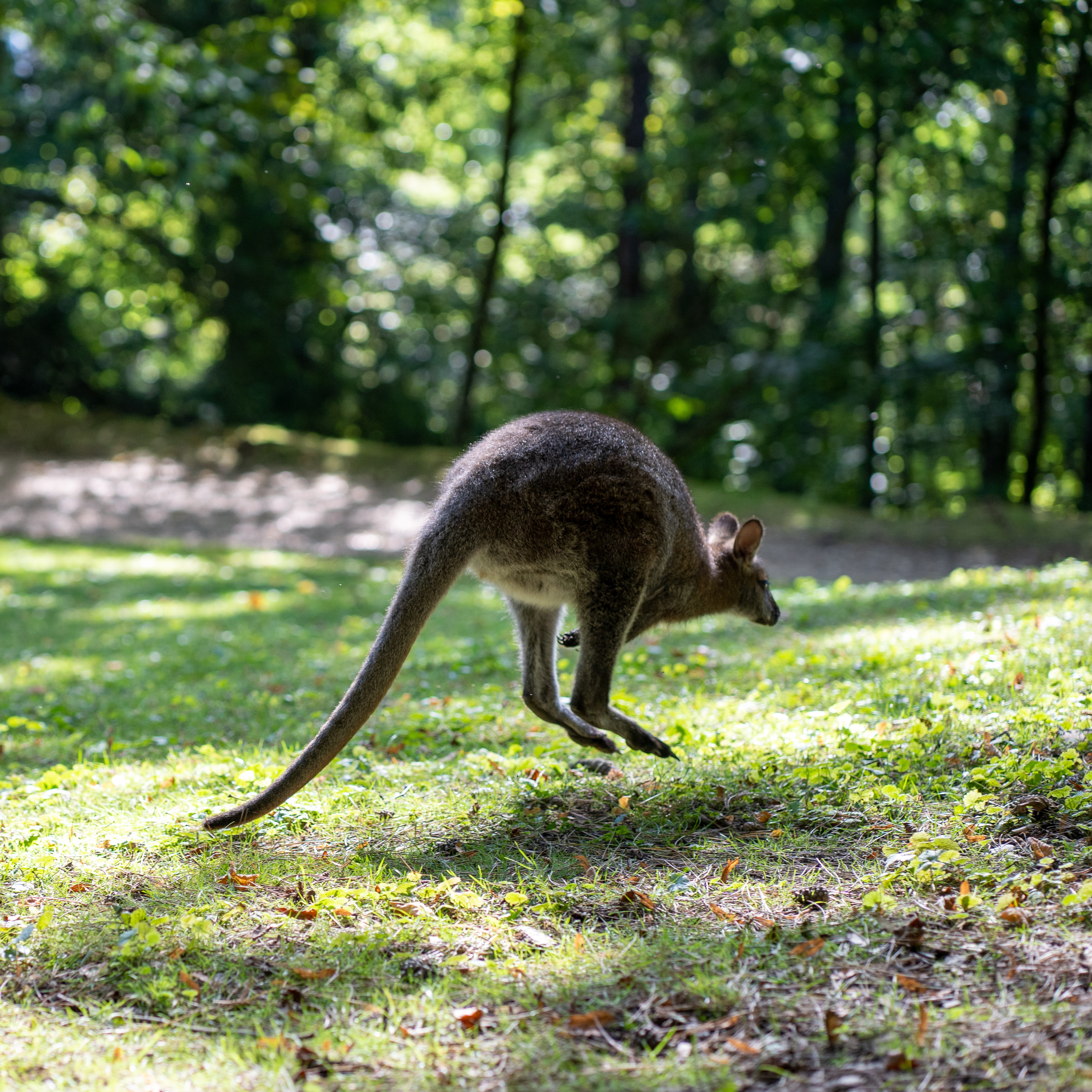 Photo n° 2 de l'avis de linstantvoyages. fait le 12/10/2021 à 20:59