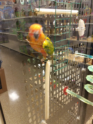 Pet Supply Store «PetSmart», reviews and photos, 401 S Mt Juliet Rd #645, Mt Juliet, TN 37122, USA