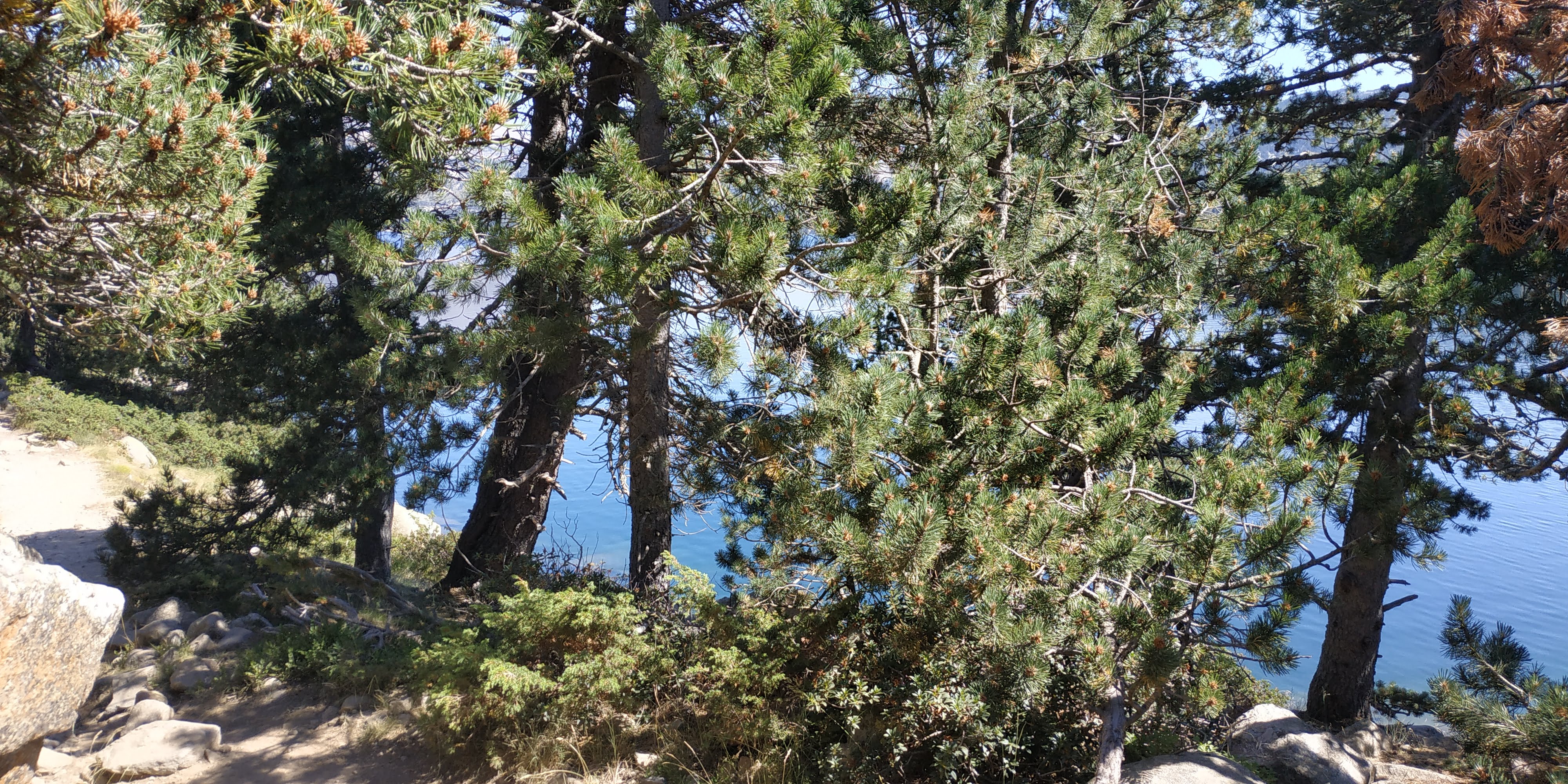 Photo n° 5 de l'avis de Freddy.o fait le 24/07/2022 à 18:54