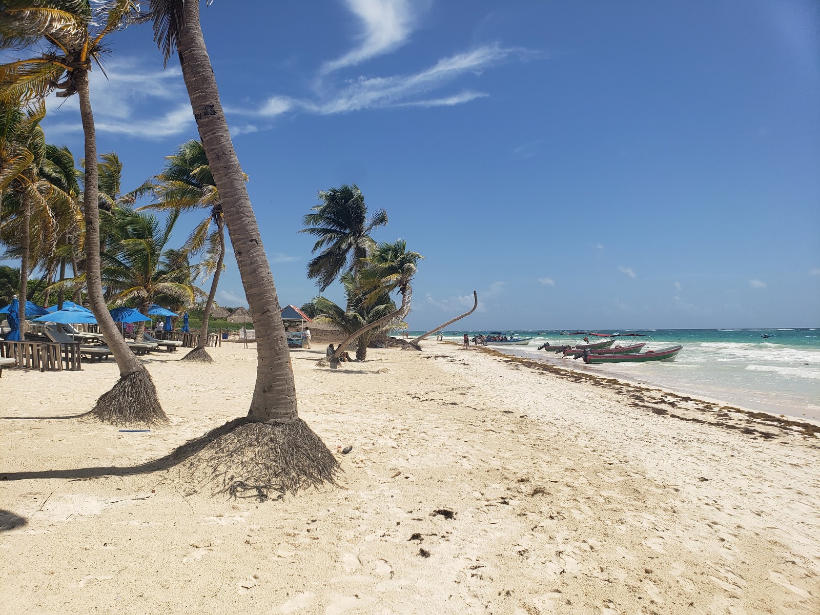 Playa Tortugas'in fotoğrafı kısmen otel alanı