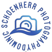 Dominic Schoenherr Photography - Car repair in , Ann Arbor - Rated 0.0/5