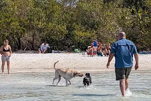 Bonita Beach Dog Park image