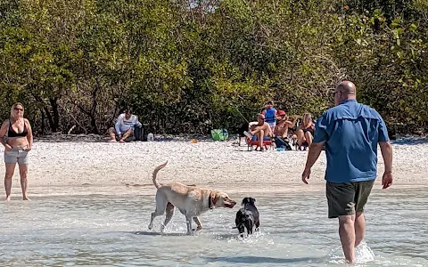 Bonita Beach Dog Park image