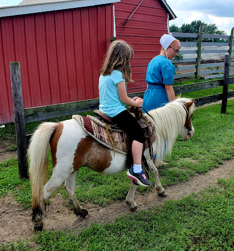 Zoo «Dutch Creek Farm Animal Park», reviews and photos, 6255 N 1000 W, Shipshewana, IN 46565, USA
