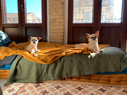 Centro Veterinario El Cabanyal en Valencia