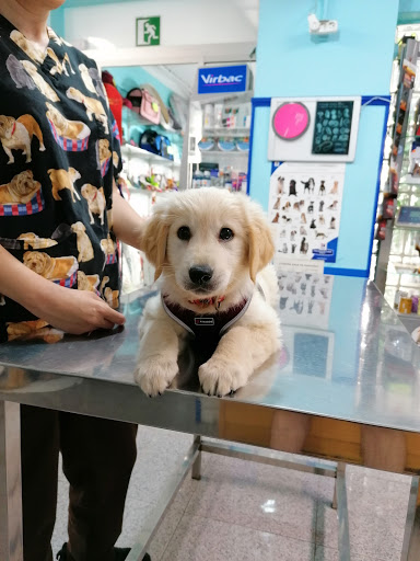 Centro Veterinario El Tablero en El Tablero