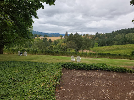 Winery «David Hill Vineyards & Winery», reviews and photos, 46350 NW David Hill Rd, Forest Grove, OR 97116, USA
