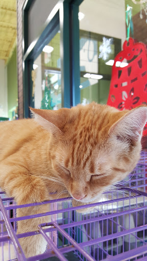 Pet Supply Store «Pet Supplies Plus», reviews and photos, 2057 S Telegraph Rd, Bloomfield Hills, MI 48302, USA