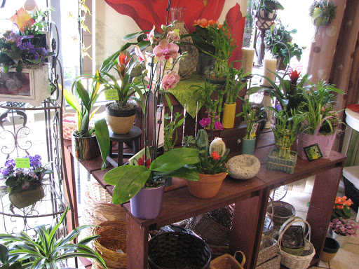 Florist «The Crimson Petal Inc.», reviews and photos, 160 Needham St, Newton, MA 02464, USA