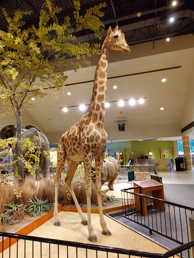 Zoo «Great Plains Zoo & Delbridge Museum of Natural History», reviews and photos, 805 S Kiwanis Ave, Sioux Falls, SD 57104, USA