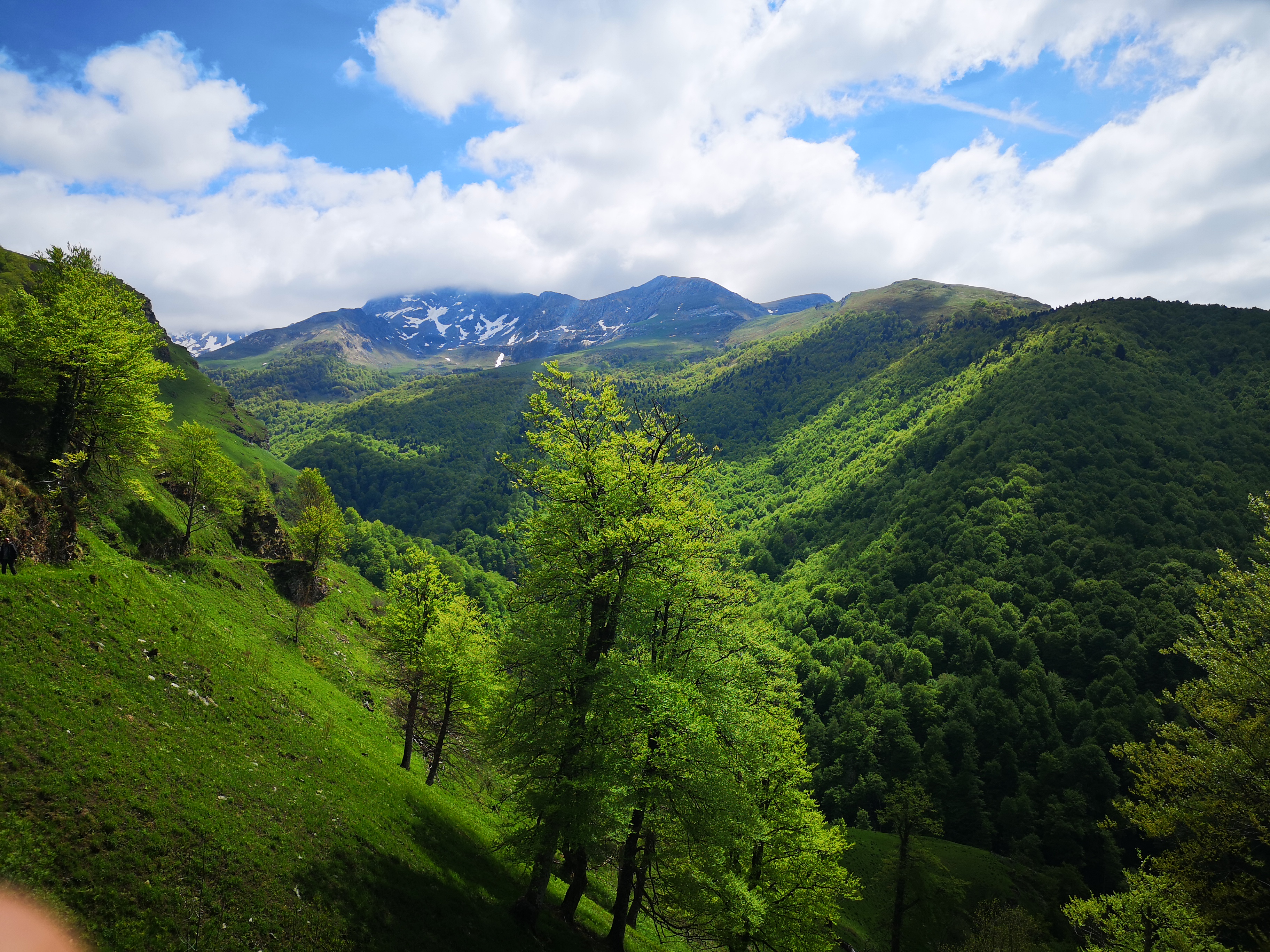 Photo n° 9 de l'avis de Chrystèle.e fait le 14/05/2019 à 05:31