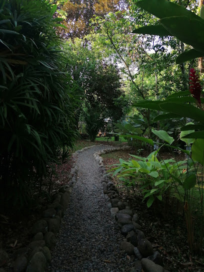 Jardín Etnobiológico de las Selvas del Soconusco