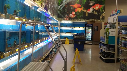 Pet Supply Store «PetSmart», reviews and photos, 2317 W Lincoln St, Harlingen, TX 78552, USA