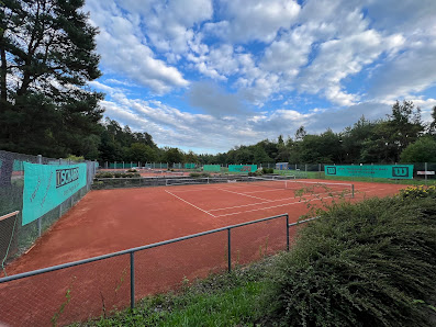 Tennis TSV Musberg Hauberg 6, 70771 Leinfelden-Echterdingen, Deutschland