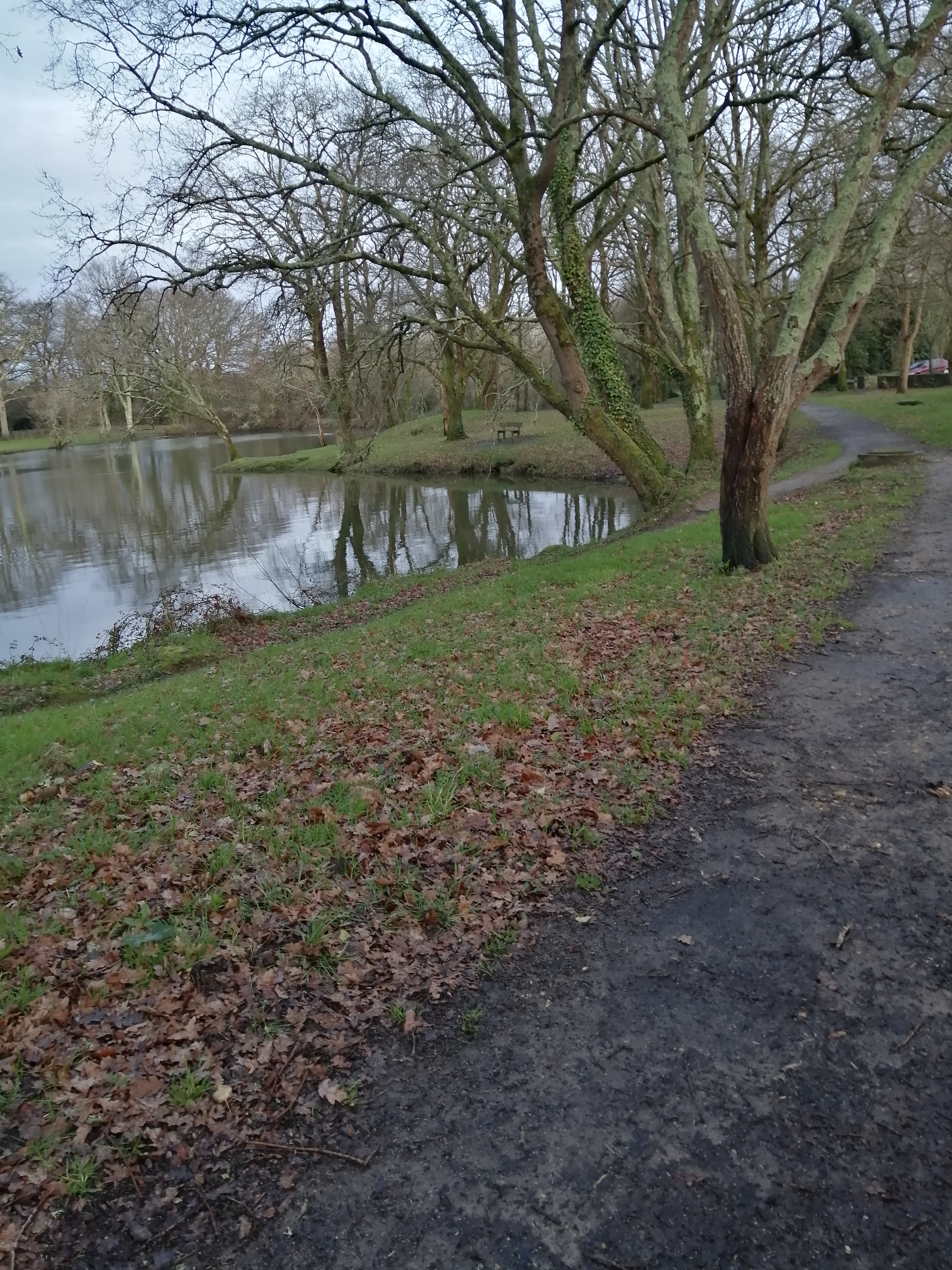 Photo n° 1 de l'avis de Pierre.i fait le 28/01/2020 à 16:51