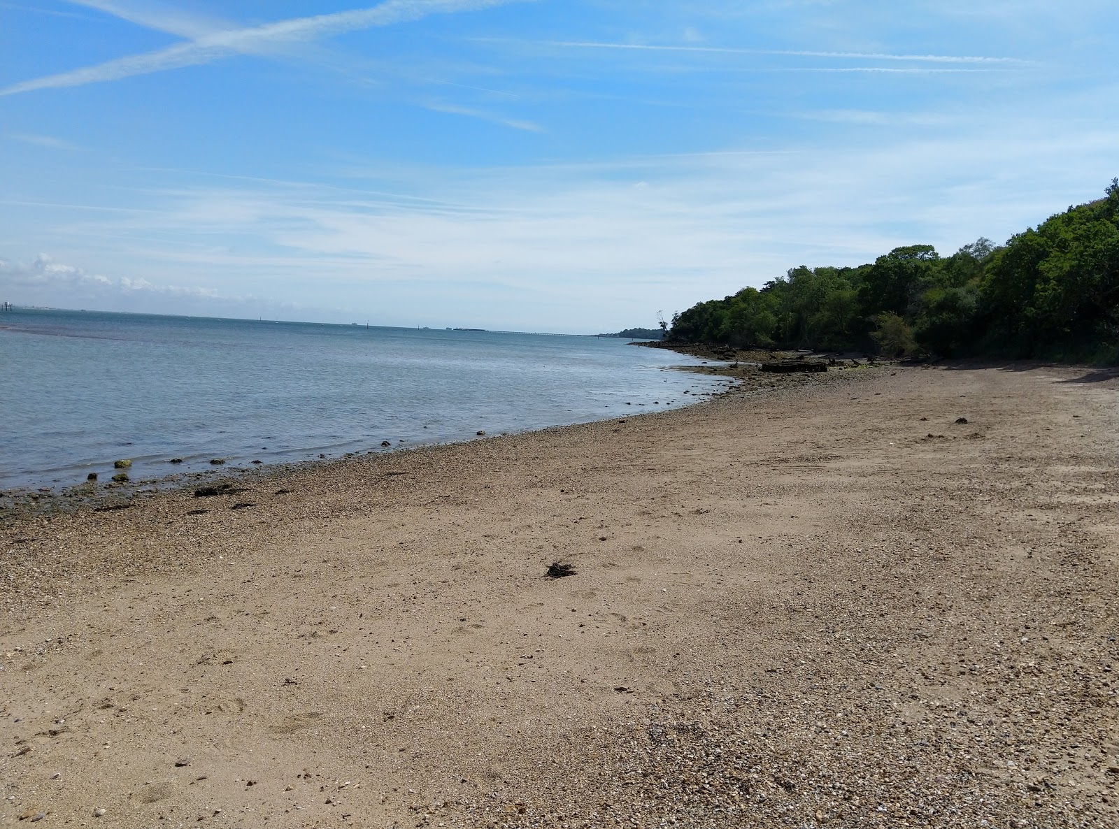 Φωτογραφία του Woodside Beach με ευρύχωρη ακτή