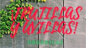 Frutilla y Uvilla Orgánica