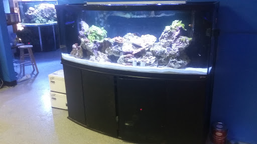 Tropical Fish Store «Saltwater Paradise», reviews and photos, 1313 W Airport Fwy, Irving, TX 75062, USA