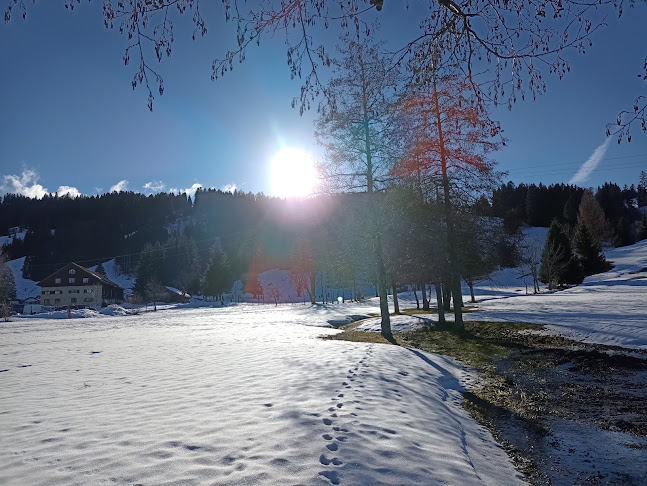 Golfclub Oberstaufen-Steibis e.V. - Buchs