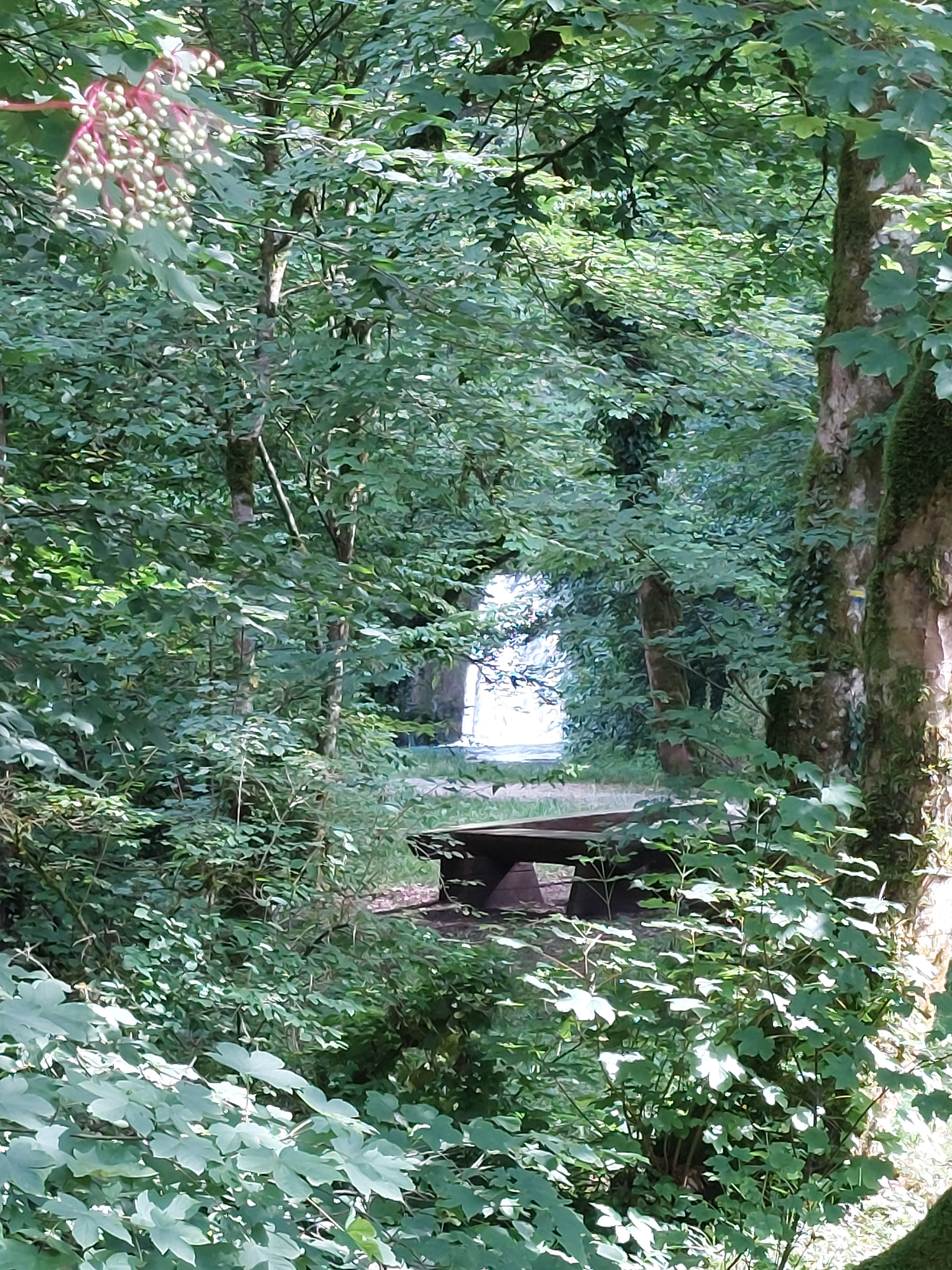 Photo n° 1 de l'avis de Rejosyl. fait le 18/07/2023 à 20:20