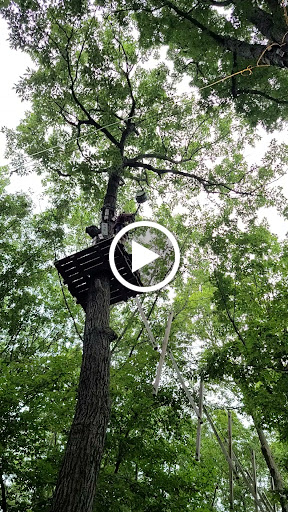 Amusement Park «The Adventure Park at West Bloomfield», reviews and photos, 6600 W Maple Rd, West Bloomfield Township, MI 48322, USA