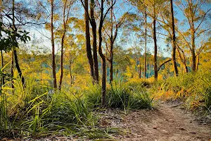 Hornsby Mountain Bike Trail image