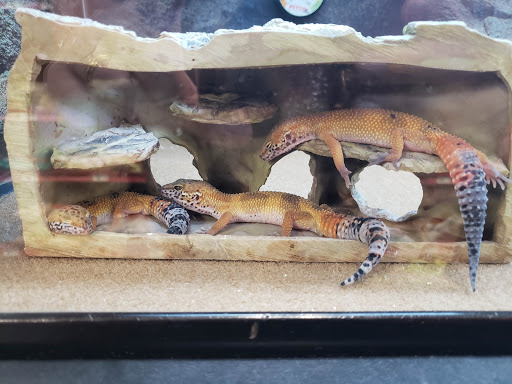 Pet Supply Store «Petco Animal Supplies», reviews and photos, 430 N Euclid St, Anaheim, CA 92801, USA