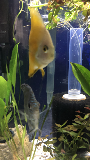 Pet Supply Store «Petco Animal Supplies», reviews and photos, 891 NE D St, Grants Pass, OR 97526, USA