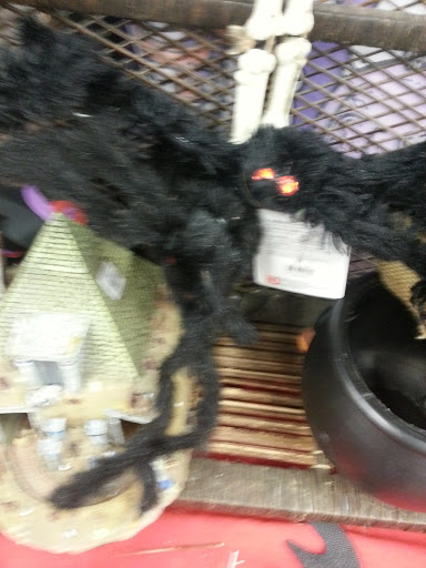 Thrift Store «Yelm Goodwill», reviews and photos, 906 E Yelm Ave, Yelm, WA 98597, USA