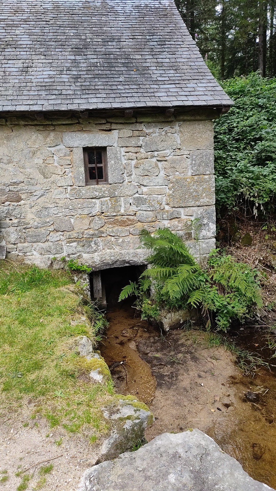 Photo n° 4 de l'avis de Alexandre.e fait le 13/08/2023 à 10:21