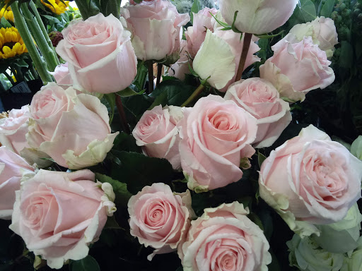 Grocery Store «New Seasons Market Mountain Park», reviews and photos, 3 Monroe Pkwy, Lake Oswego, OR 97035, USA