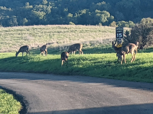 Nature Preserve «Rancho San Antonio Open Space Preserve», reviews and photos, 22500 Cristo Rey Dr, Cupertino, CA 95014, USA