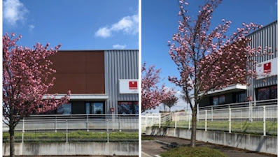 Agence intérim Synergie Montbéliard à Montbéliard