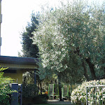 Photo n°5 de l'avis de TZ.a fait le 28/08/2022 à 08:42 sur le  Hotel Venezia - Marina di Pietrasanta à Marina di Pietrasanta