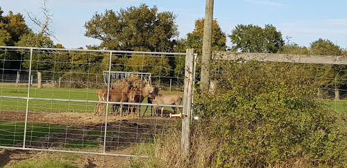 Ferme de Villaine à Baugé en Anjou